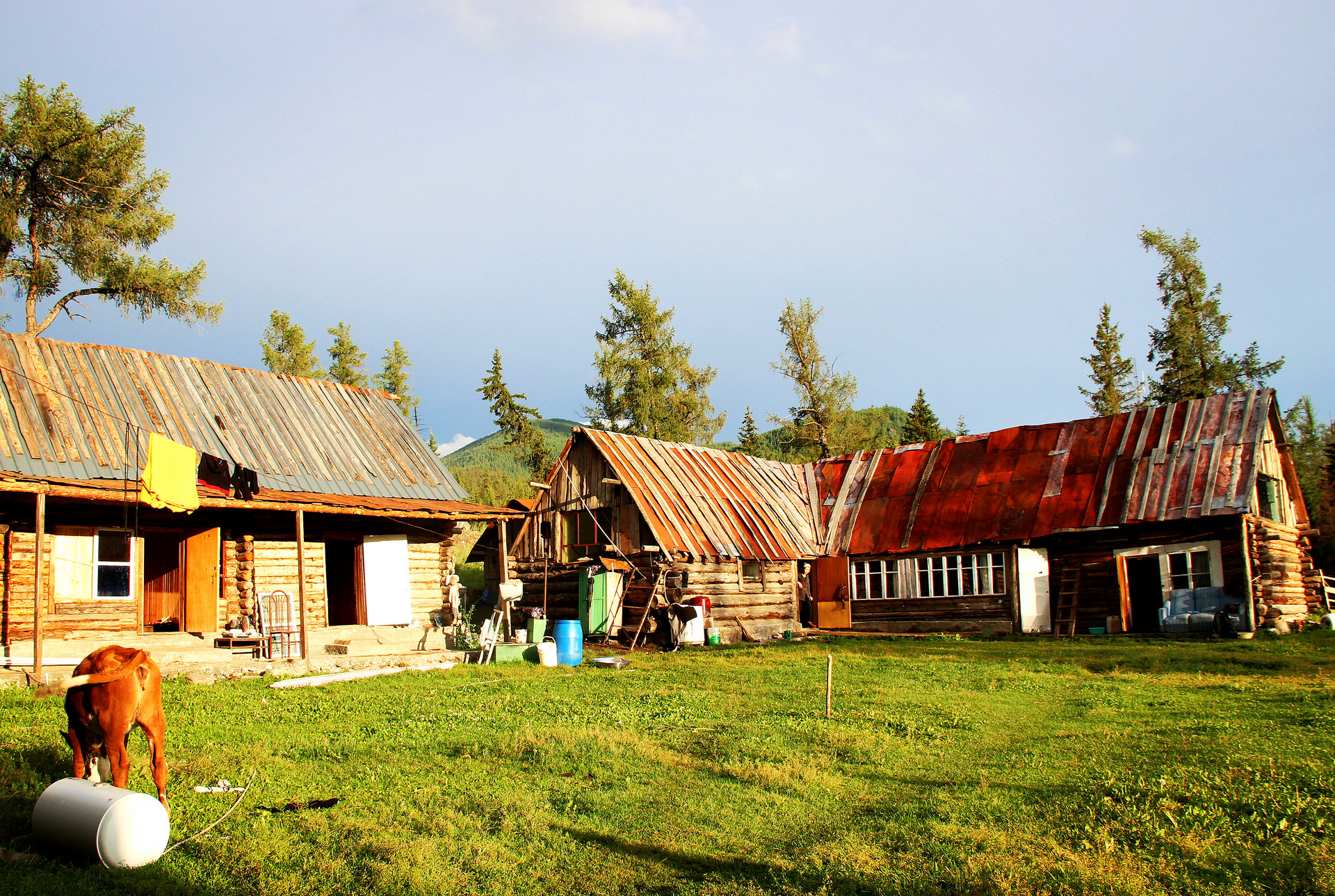 图瓦人小院封面图