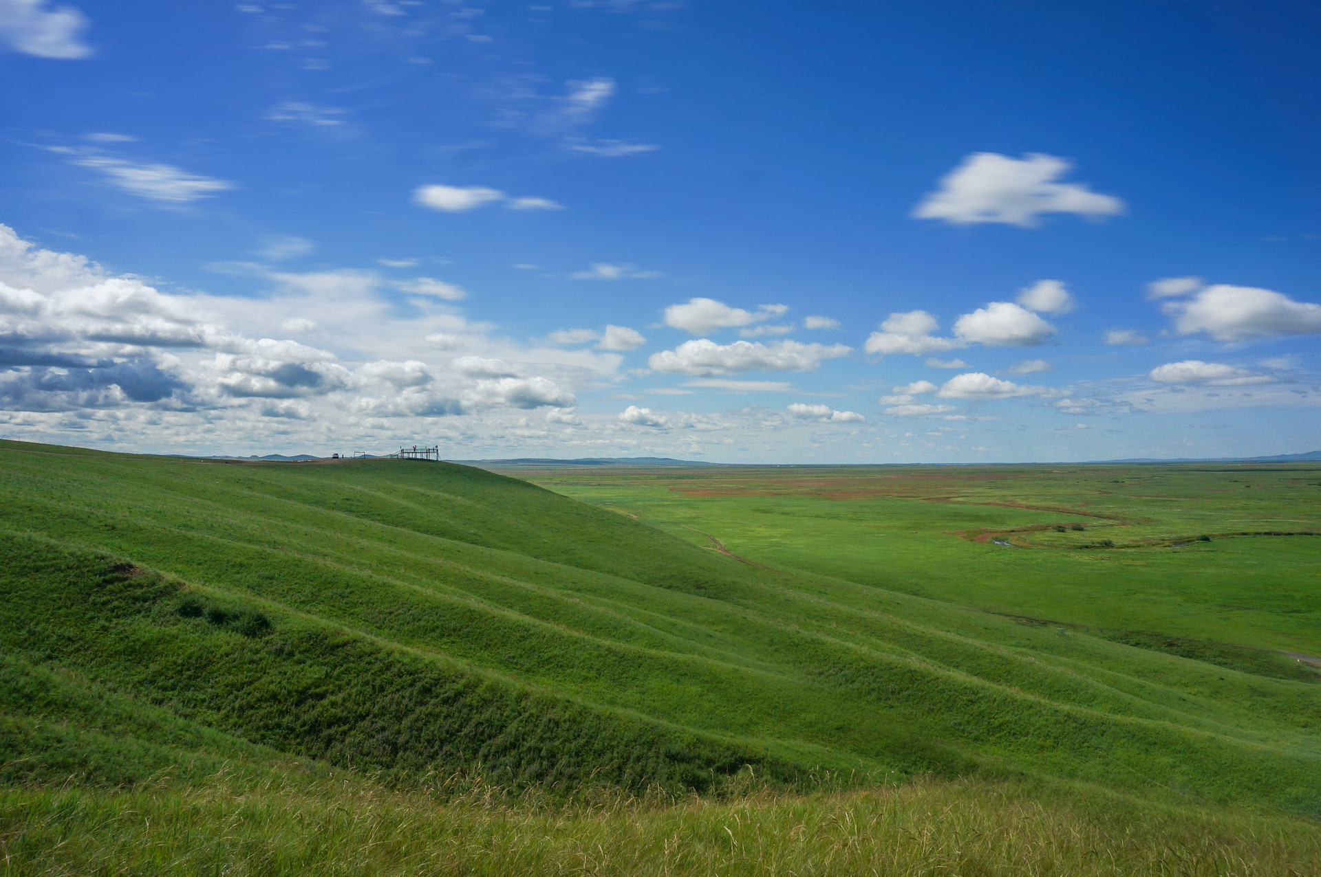 希拉穆仁草原风光封面图