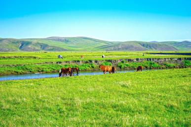 景点：草原晨光
