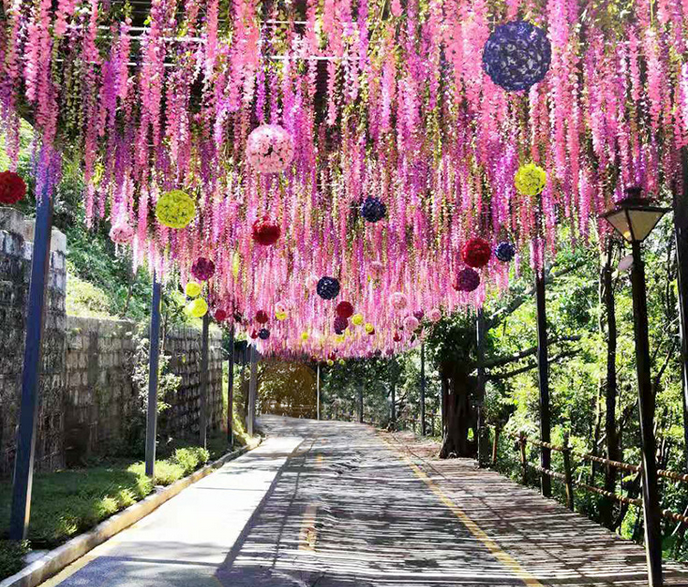 紫藤花长廊封面图