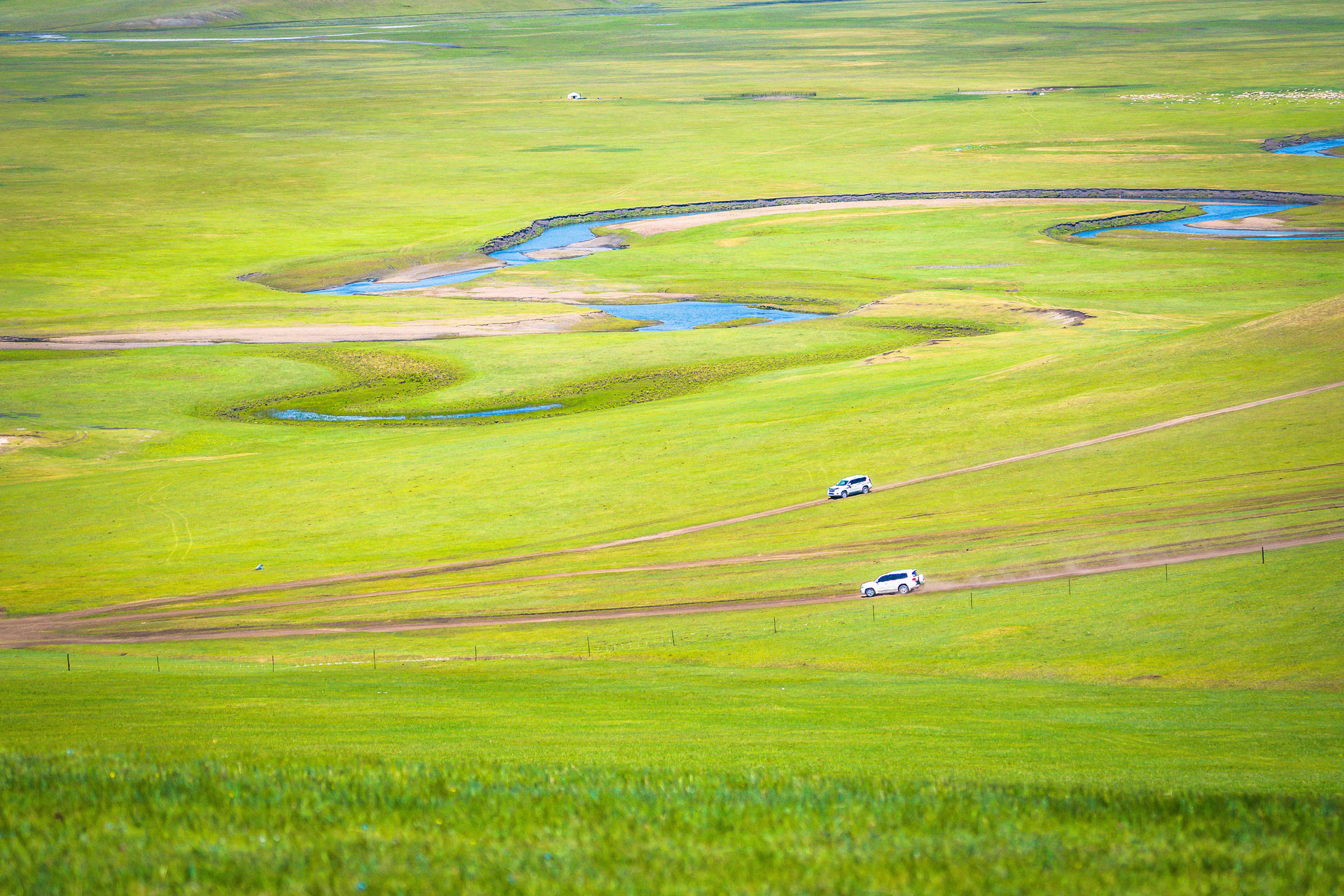 草原腹地封面图