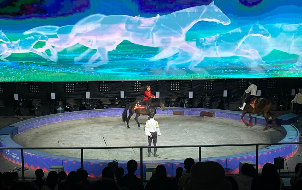 欢腾国际马戏1封面图