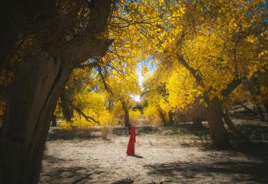 【H8S湖野金塔 青甘风物诗双飞8日】金塔胡杨林·七彩丹霞·莫高窟·鸣沙山·嘉峪关·翡翠湖·茶卡盐湖