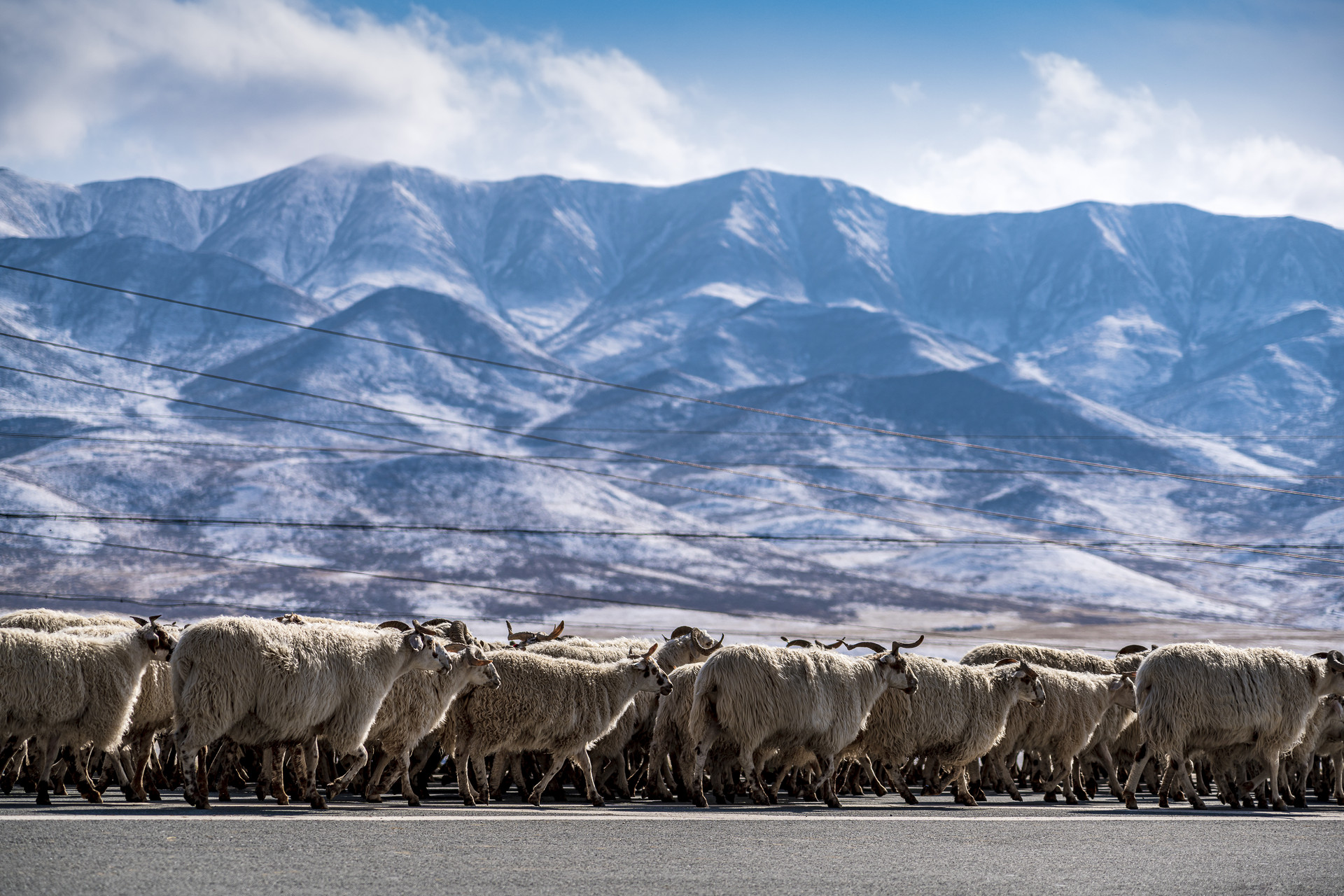 海北地区封面图