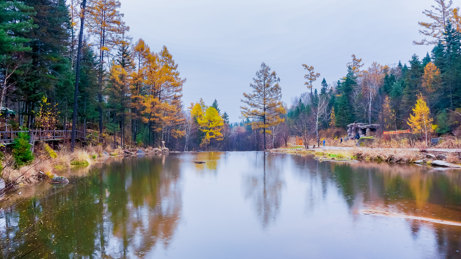 汤旺河景区封面图