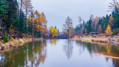 景点：汤旺河景区
