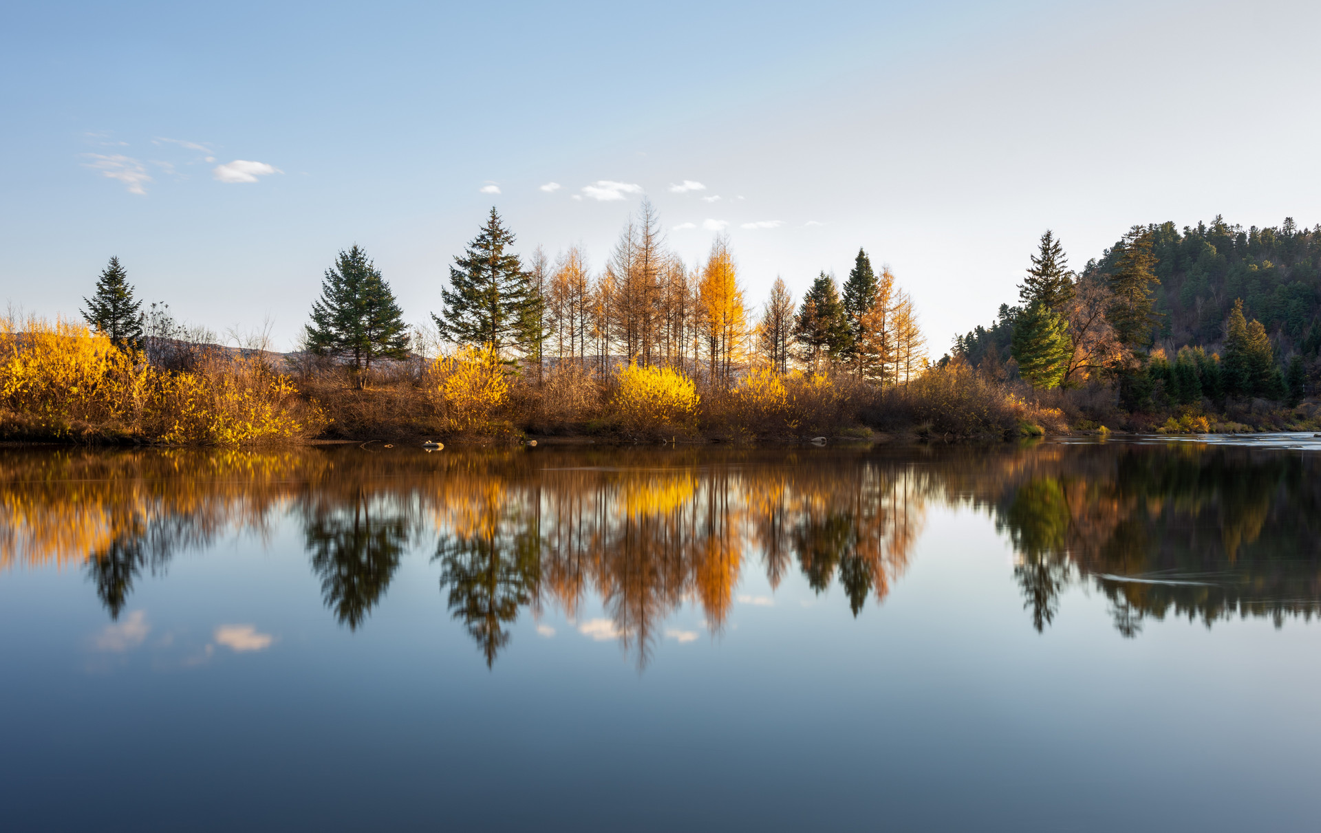 伊春秋色封面图