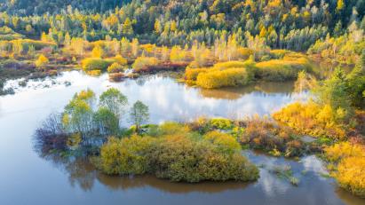 景点：伊春秋色