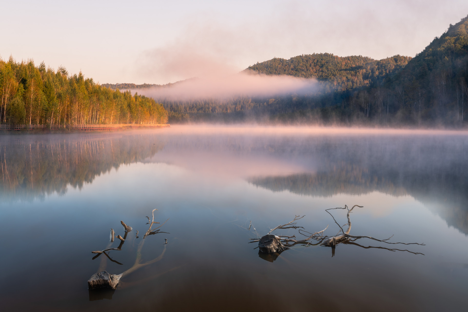 汤旺河晨雾封面图