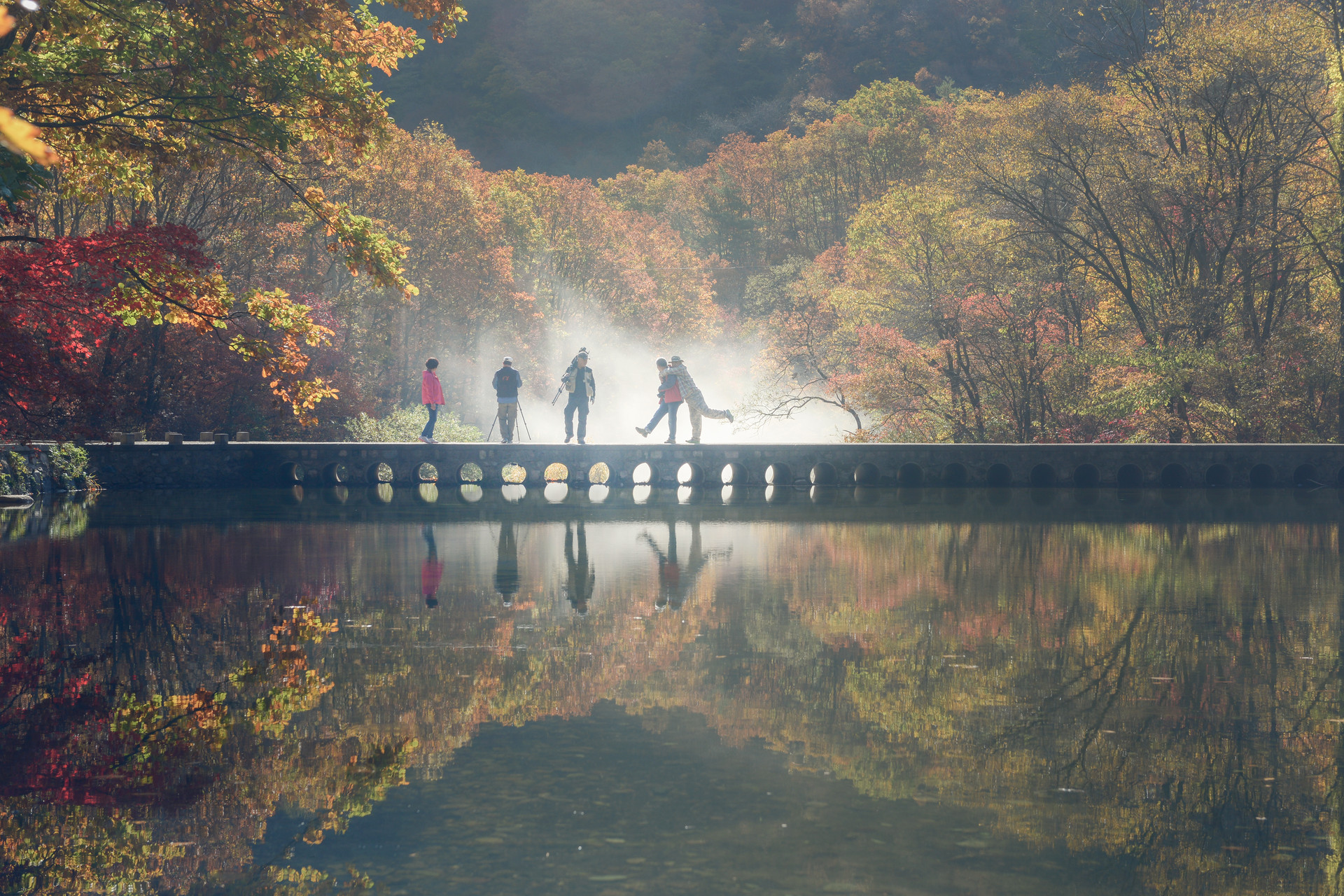 伊春初秋封面图