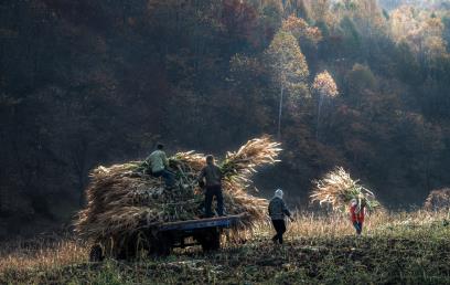 景点：秋收季节