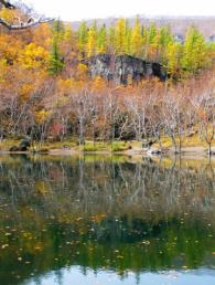 景点：长白山秋色