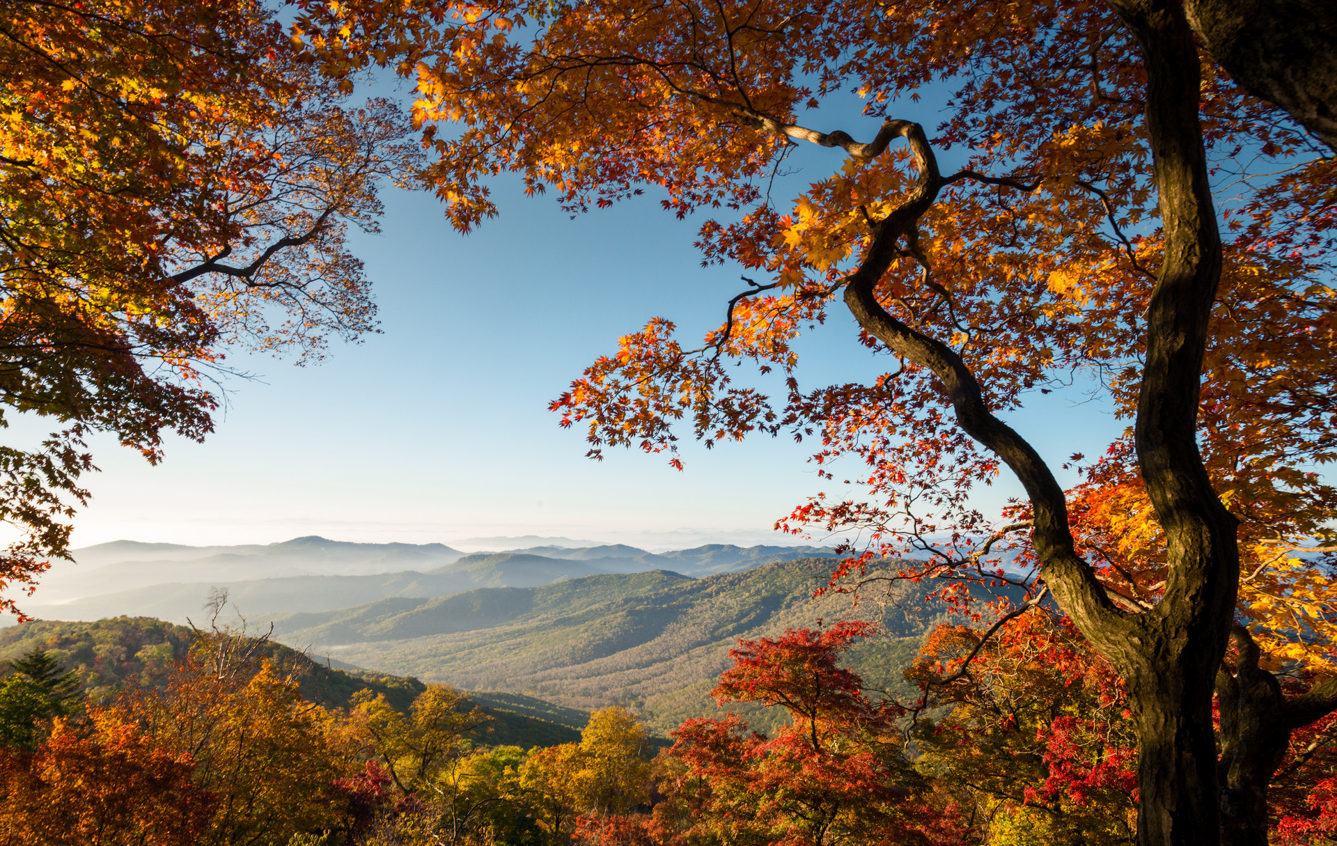 吉林秋色封面图