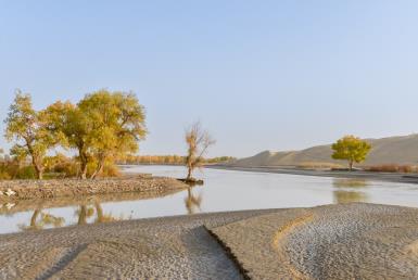 景点：塔里木河风光