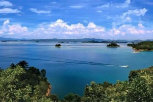 镜花缘风景封面图