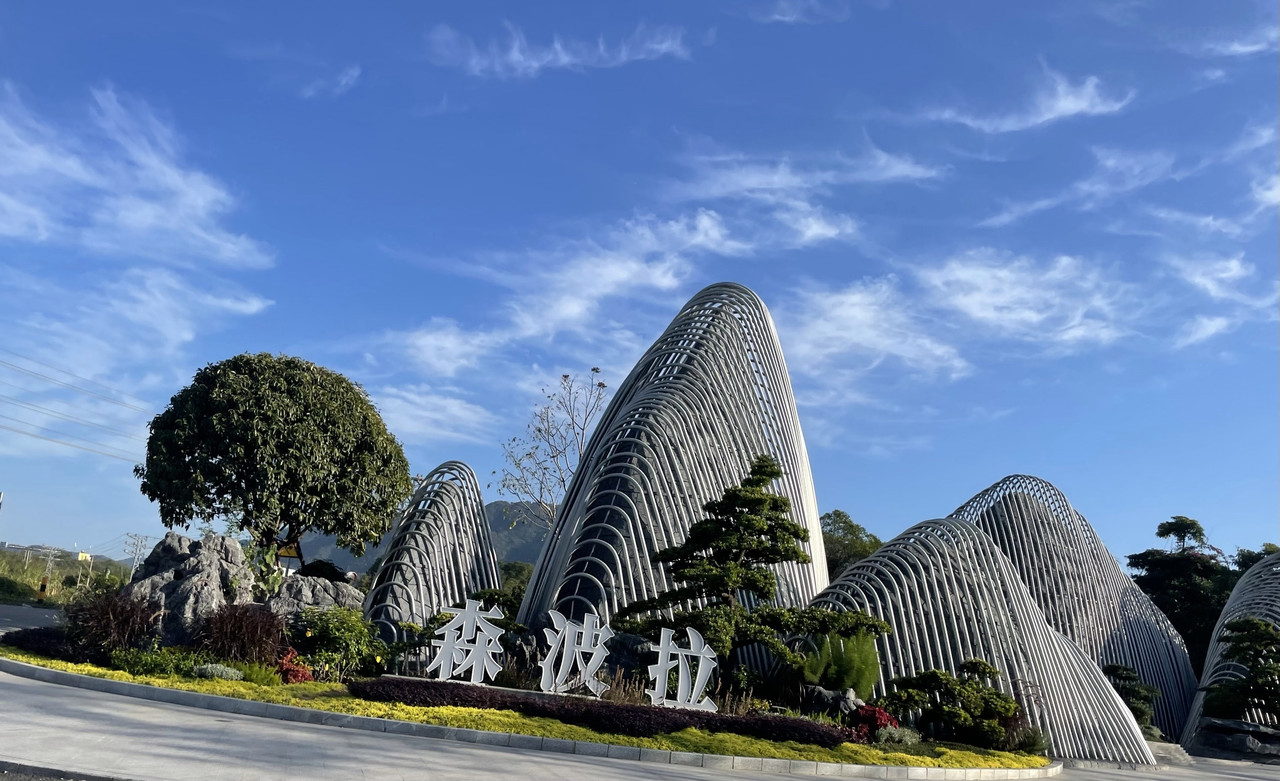 森波拉外观封面图