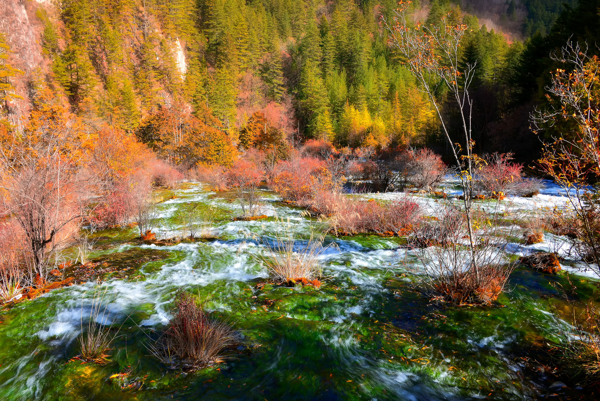九寨沟珍珠滩封面图