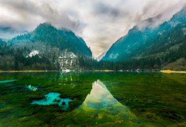 景点：九寨沟孔雀海倒影