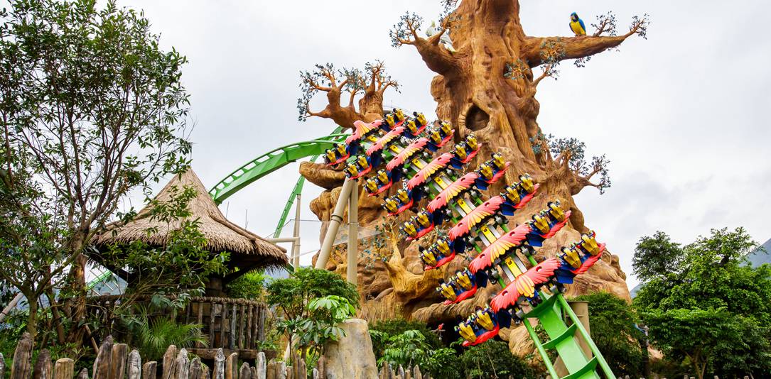 长隆鹦鹉过山车封面图