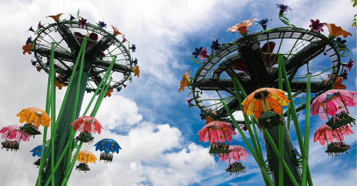 长隆雨林升降塔封面图