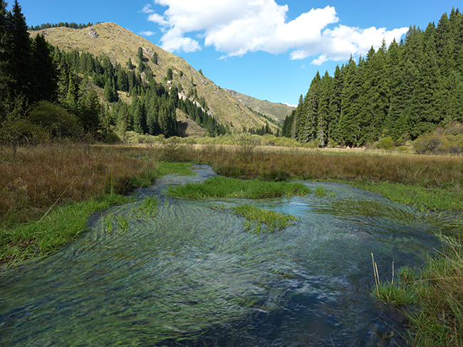 二道海草海图1封面图