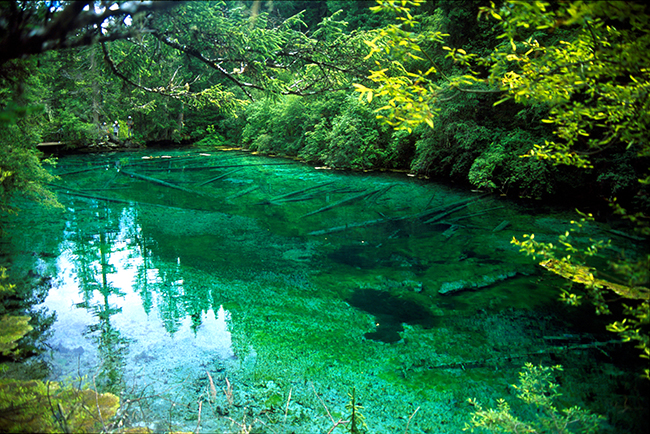 二道海天鹅湖封面图