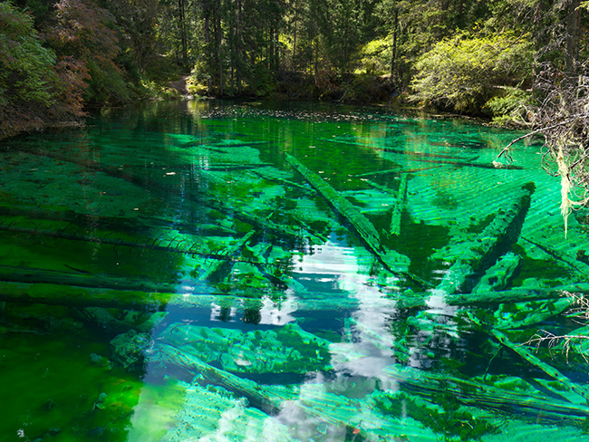 二道海天鹅湖图3封面图