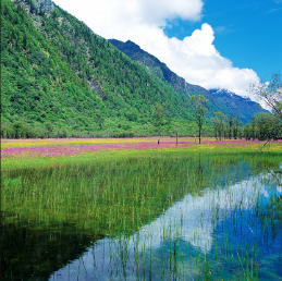 景点：双桥沟-人参果坪
